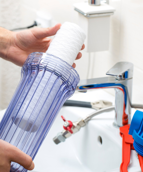 A person holding a roll of toilet paper in front of a sink